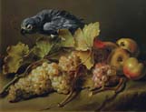still life with a parrot and grapes